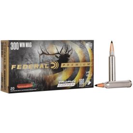 Federal 300 Win. Mag. Grammes Trophy 180gr